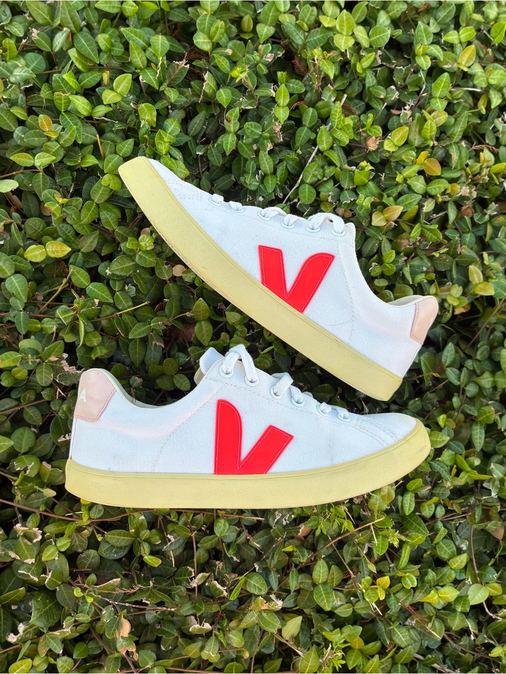 VEJA CAMPO CANVAS WHITE RED
FLUO SNEAKERS SIZE 7